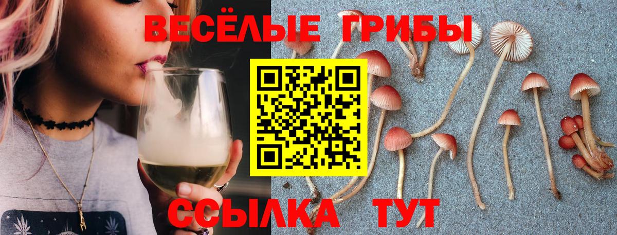 Галлюциногенные грибы мухоморы  где купить наркотик  Среднеуральск  Вход с VPN 